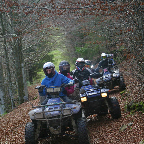 quad